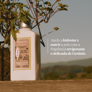 Verbena Gerânio: Um cítrico floral encantador | L'Occitane en Provence